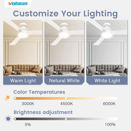 42 Inch Ceiling Fan With Dimmable LED Light And Remote