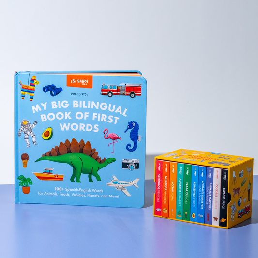 My Big Bilingual Book of First Words