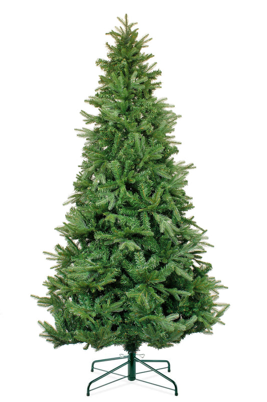 Northern Shasta Fir Full Christmas Tree