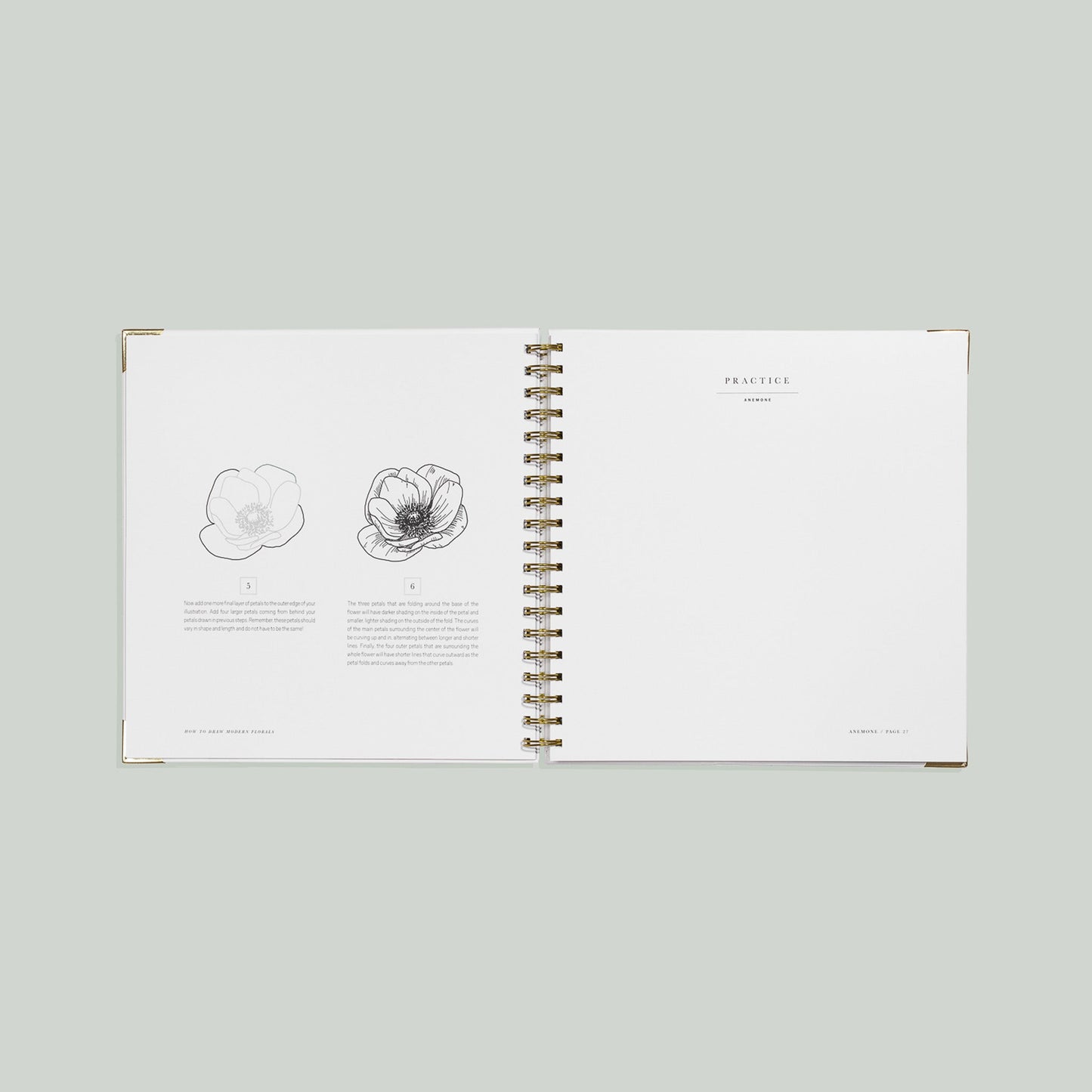 How To Draw Modern Florals (Spiral Bound)