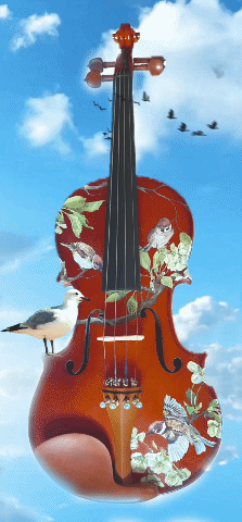 Rozanna's Song Bird Violin Outfit | Antique Luster Violin with Robin Egg Blue Pearl Fine Tuners & Brazilwood Bow