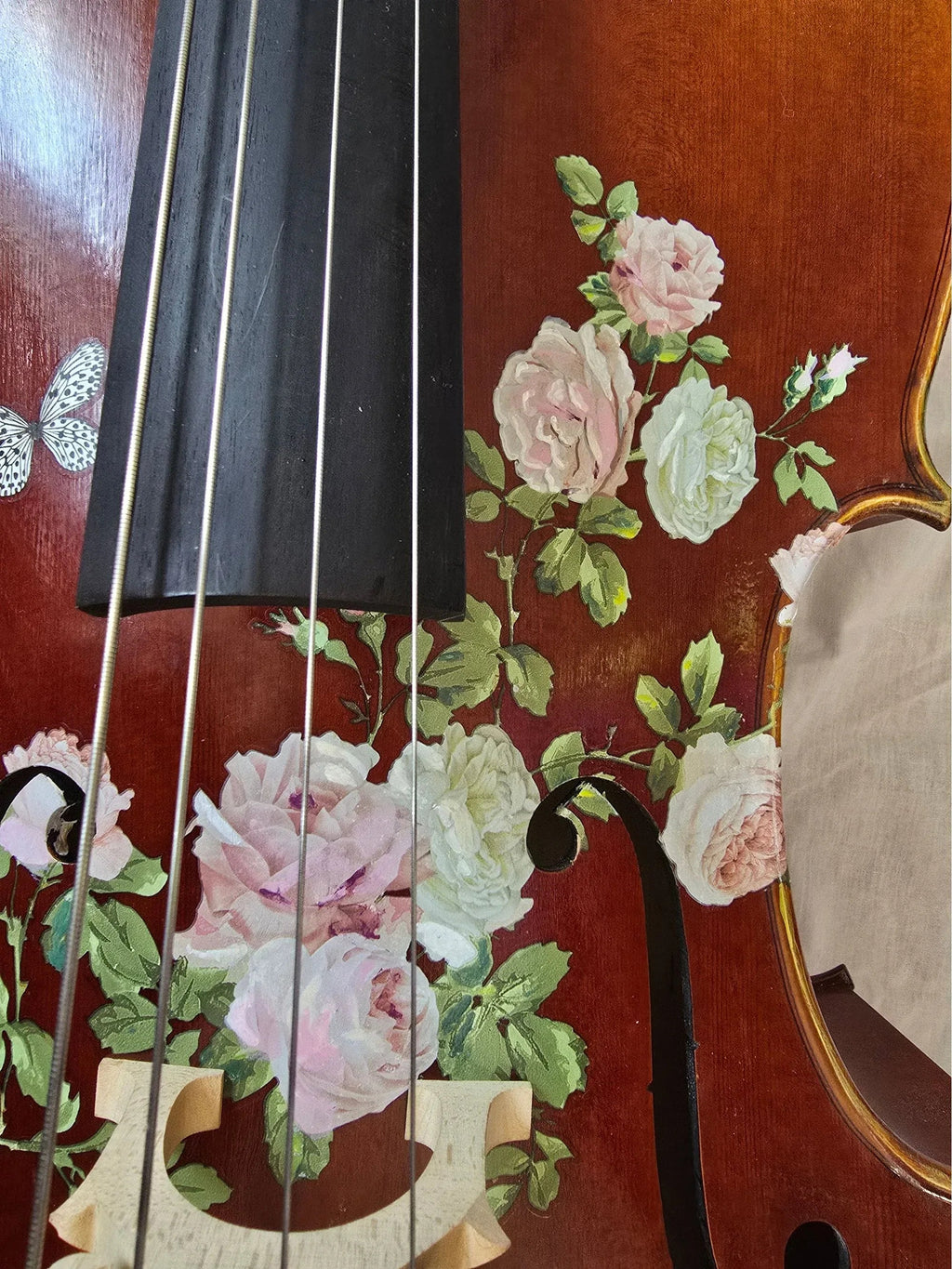 Rose Delight Cello Outfit