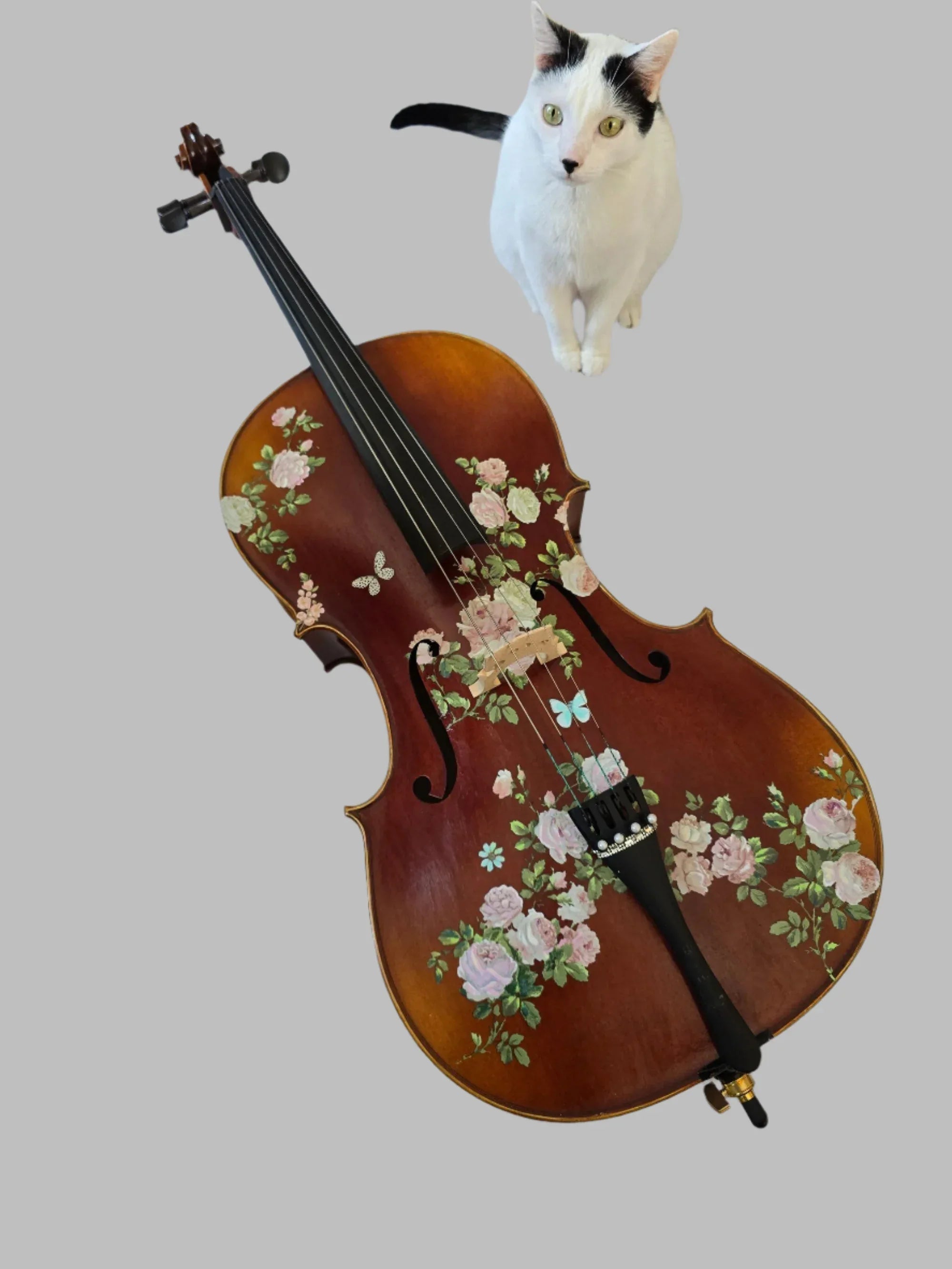 Rose Delight Cello Outfit