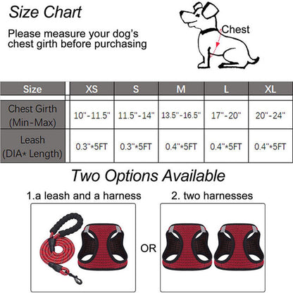 Reflective Harness & Dog Leash