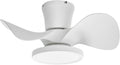 22 Inch Quiet Ceiling Fan With LED Light And Remote Control