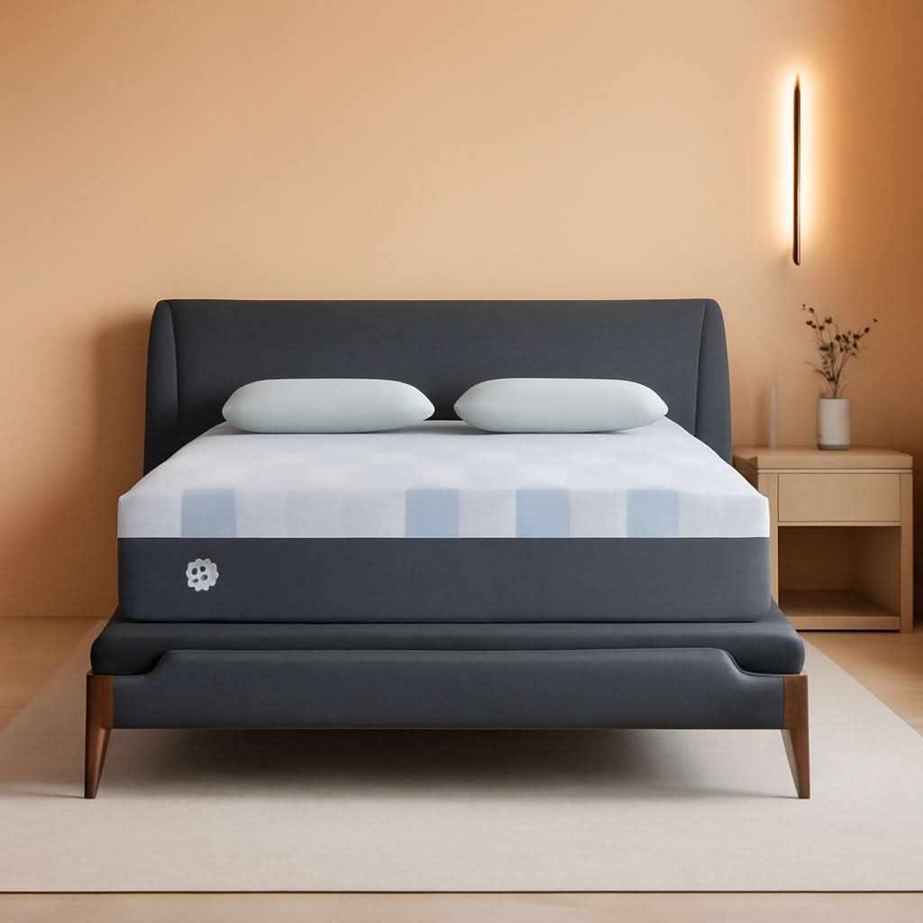 Queen Dreamlife Gel Memory Foam Mattress Surface Guard