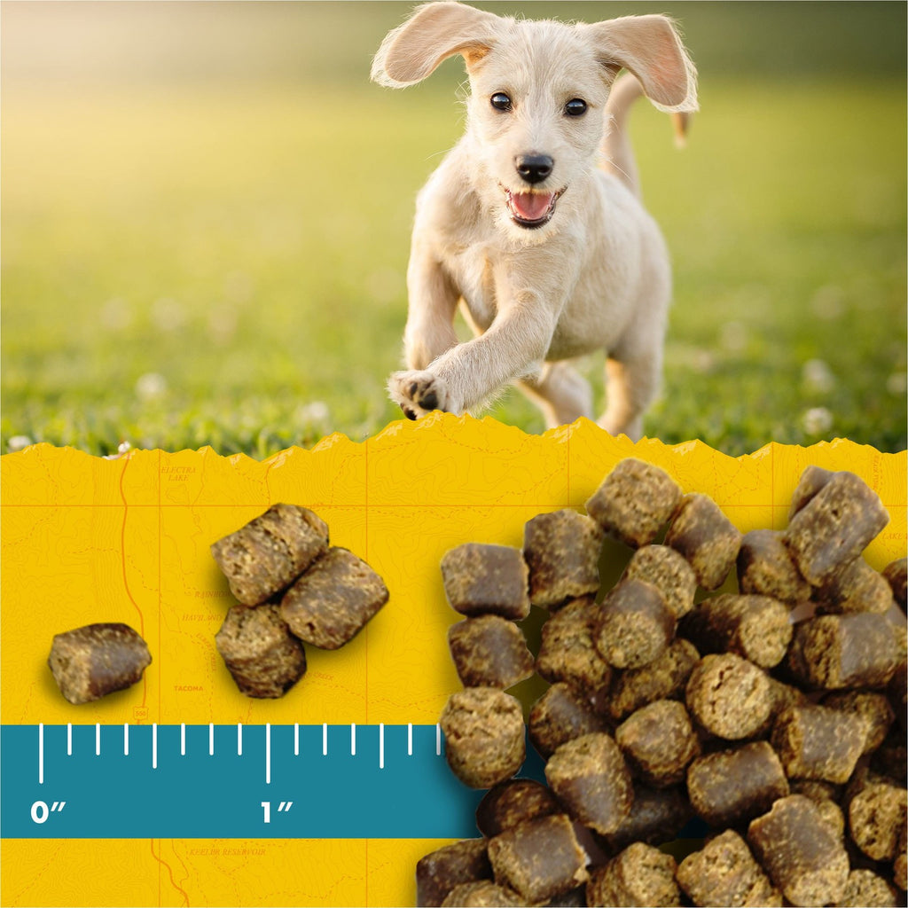 Zuke'S Zukes Puppy Naturals Dog Treats Salmon Chickpea 5 Ounce Pack Of 3