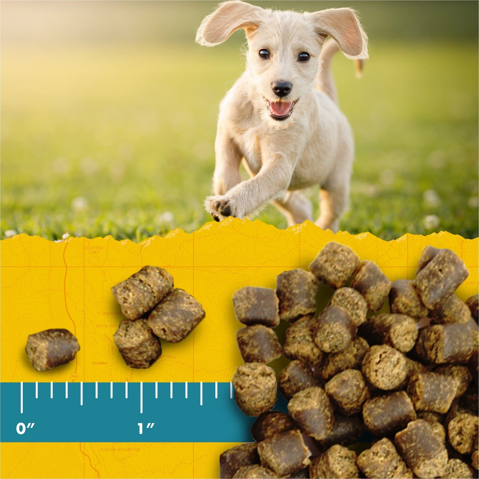 Zuke'S Zukes Puppy Naturals Dog Treats Salmon Chickpea 5 Ounce Pack Of 3