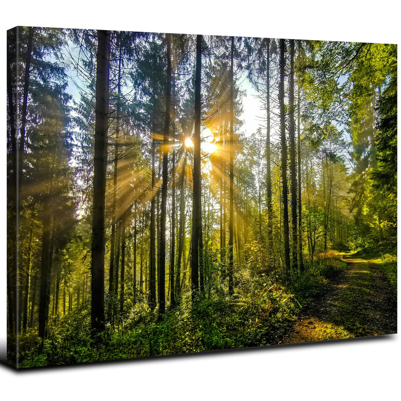 Arebolo Sunrise Forest Canvas Wall Art Nature Mountain Wall Decor For Living
