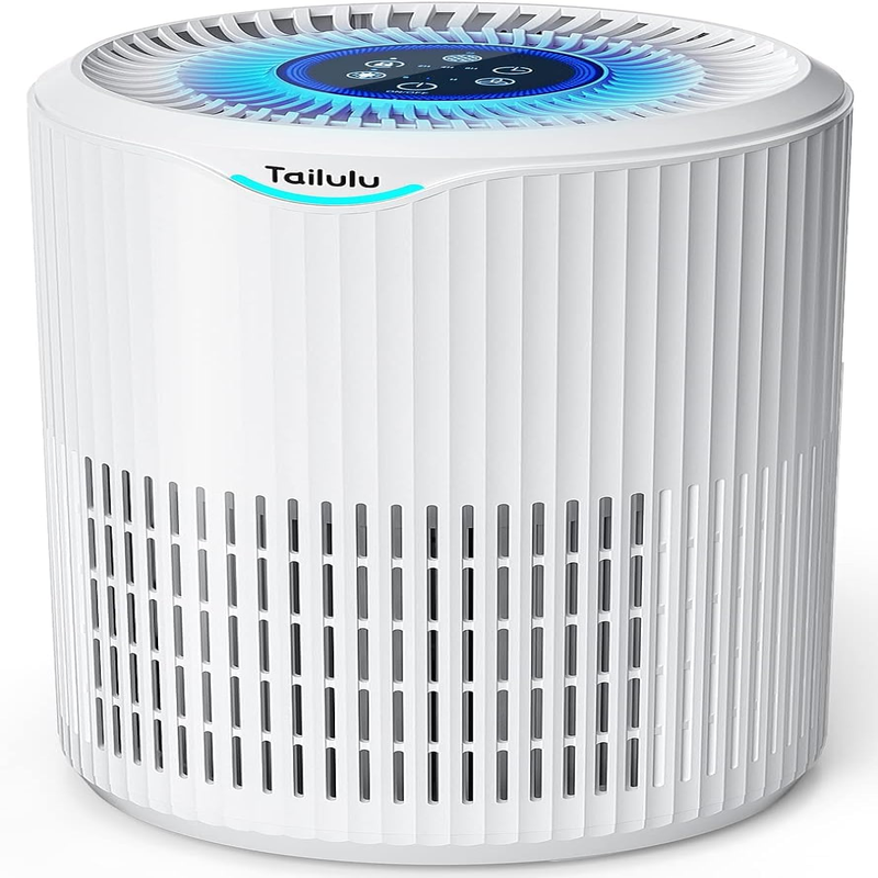 Air Purifiers For Home Large Room Up To 1680 Ft Tailulu H13 Hepa Air Filter