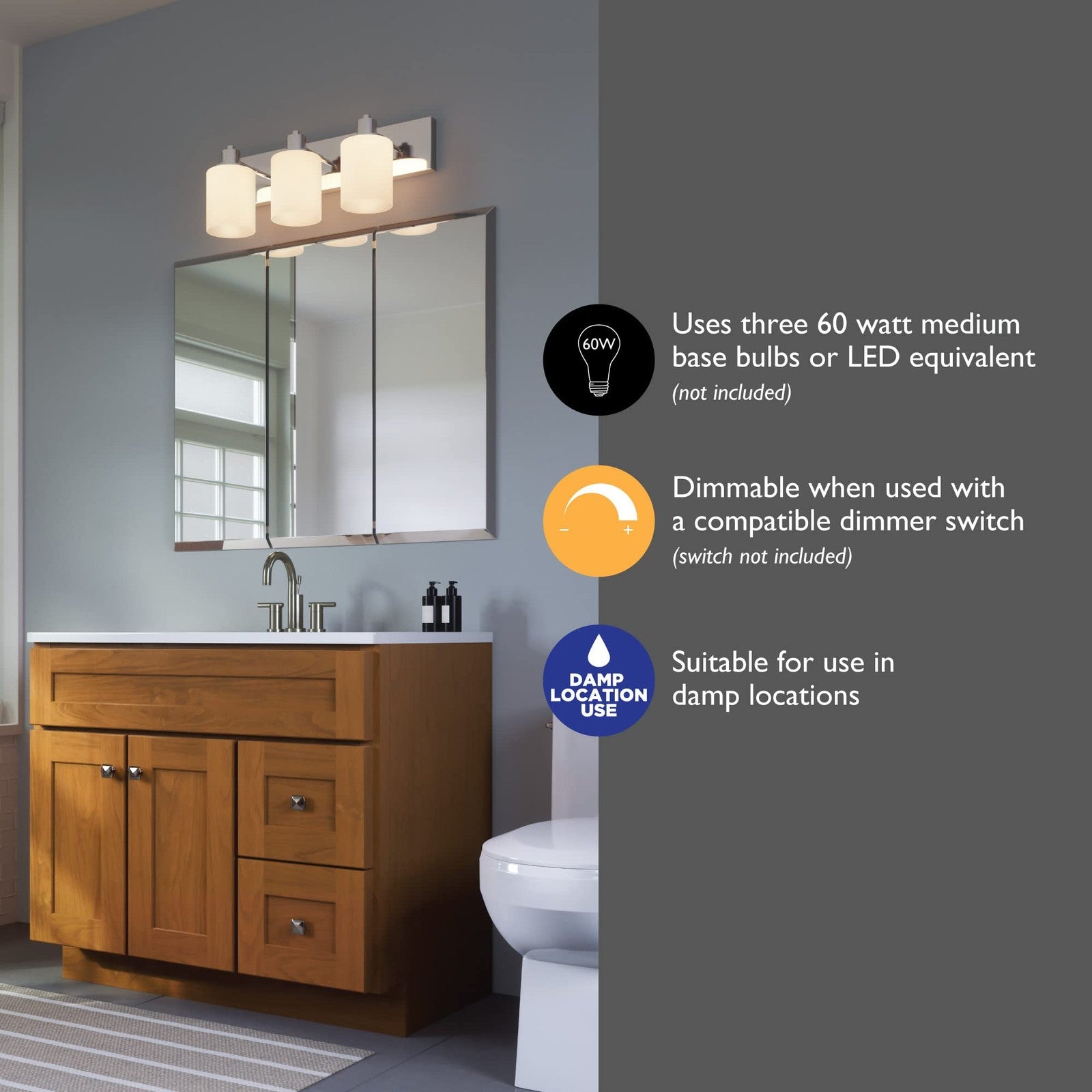 Design House Dane 3-Light Vanity Light Polished Chrome Finish Frosted Glass
