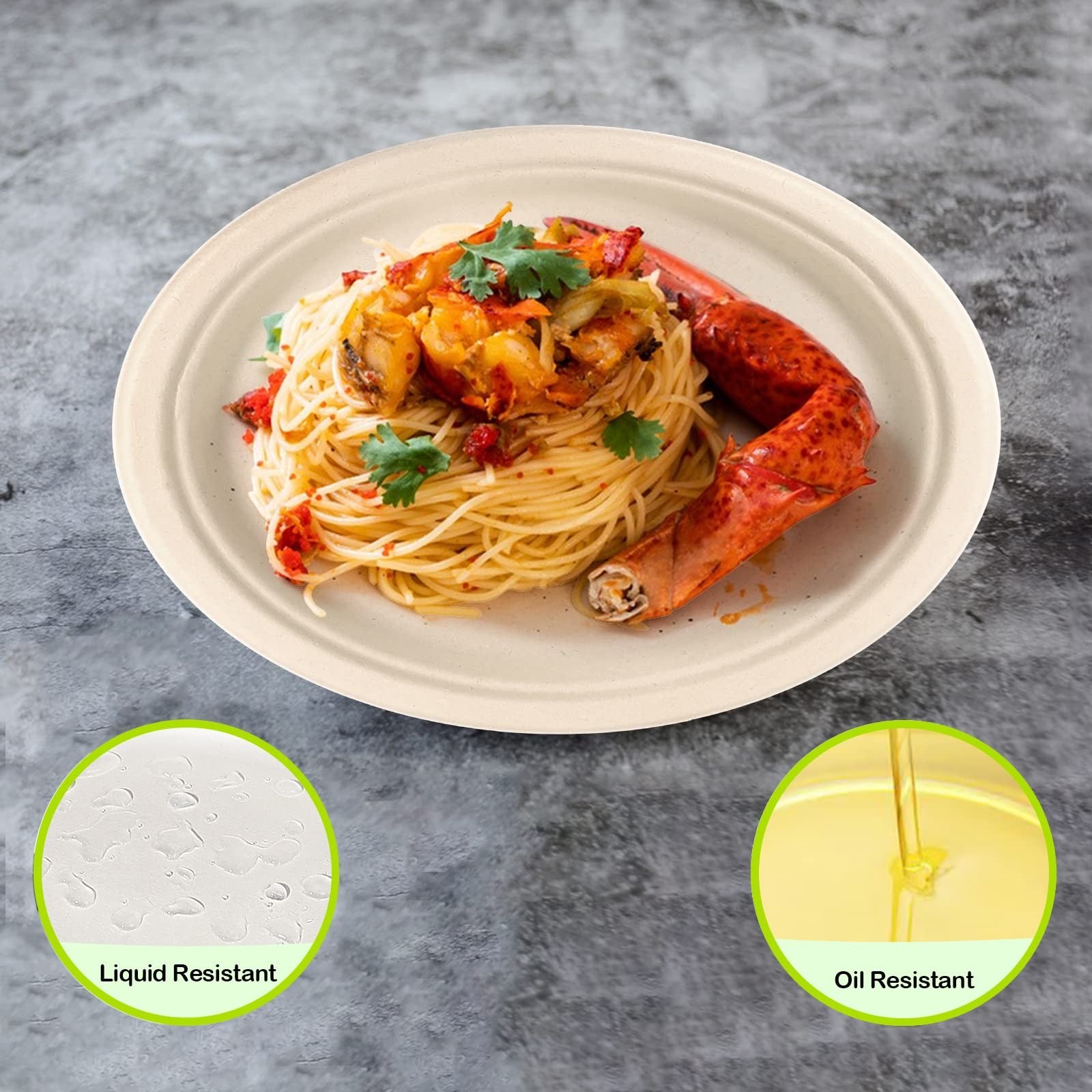 Greenesage 500 Pack Paper Plates 9 Inch Bulk 100 Compostable Disposable Plates