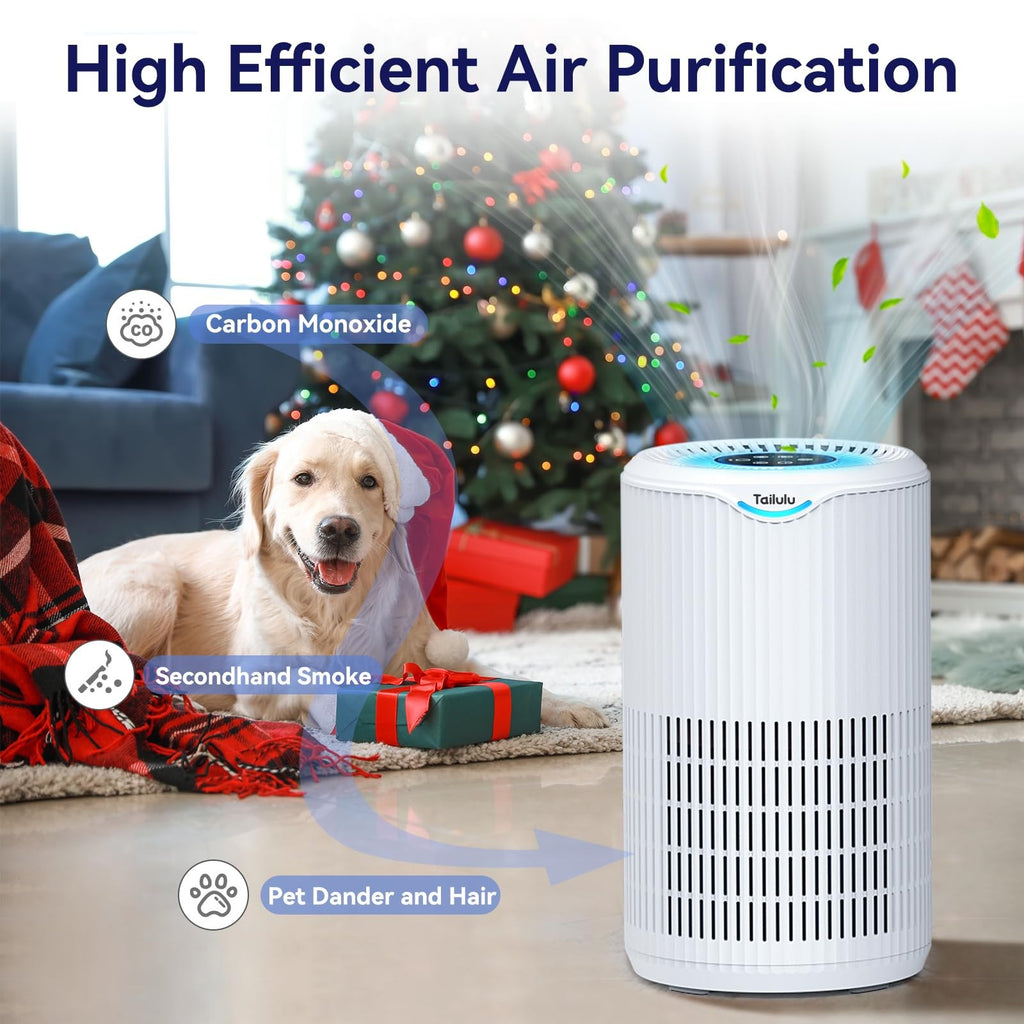 Air Purifiers For Home Large Room Up To 1680 Ft Tailulu H13 Hepa Air Filter
