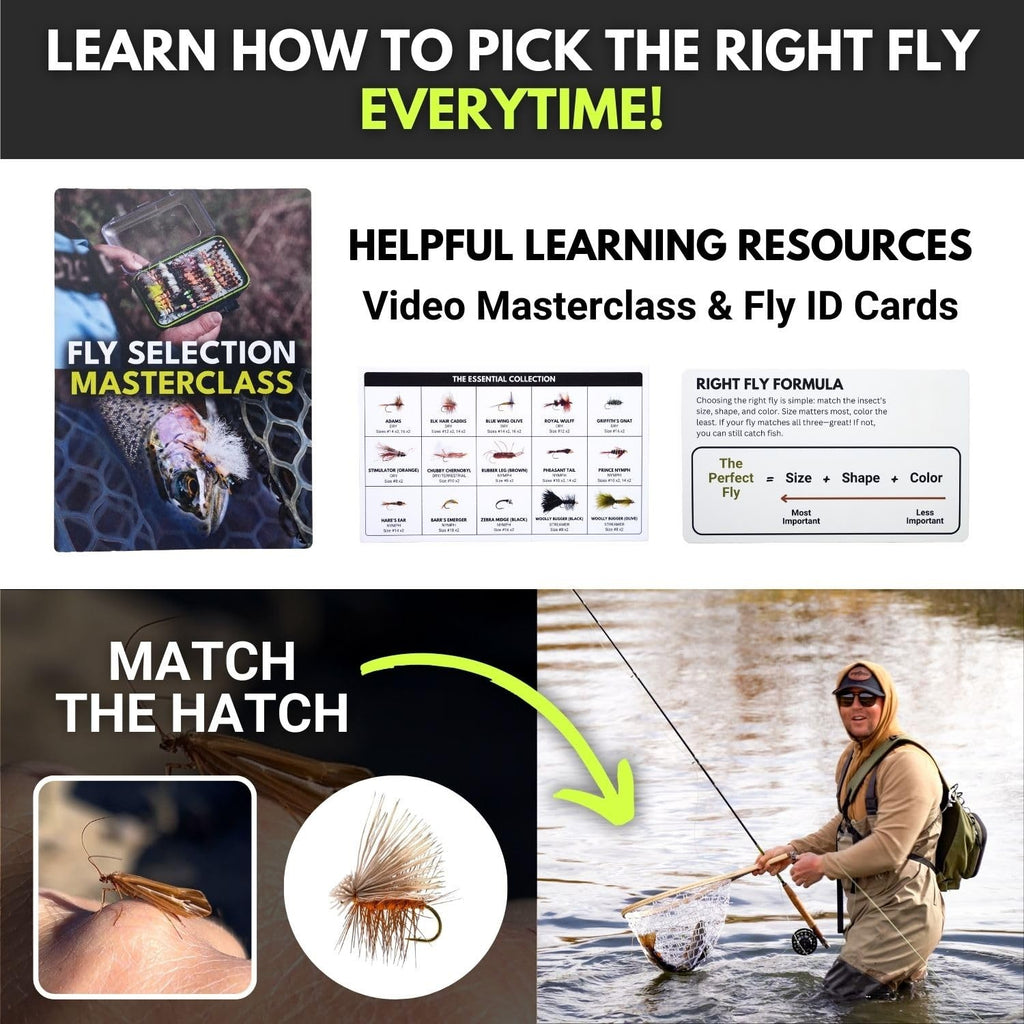 Ventures Fly Co. 40 Premium Hand Tied Fly Fishing Flies Assortment Fly Included