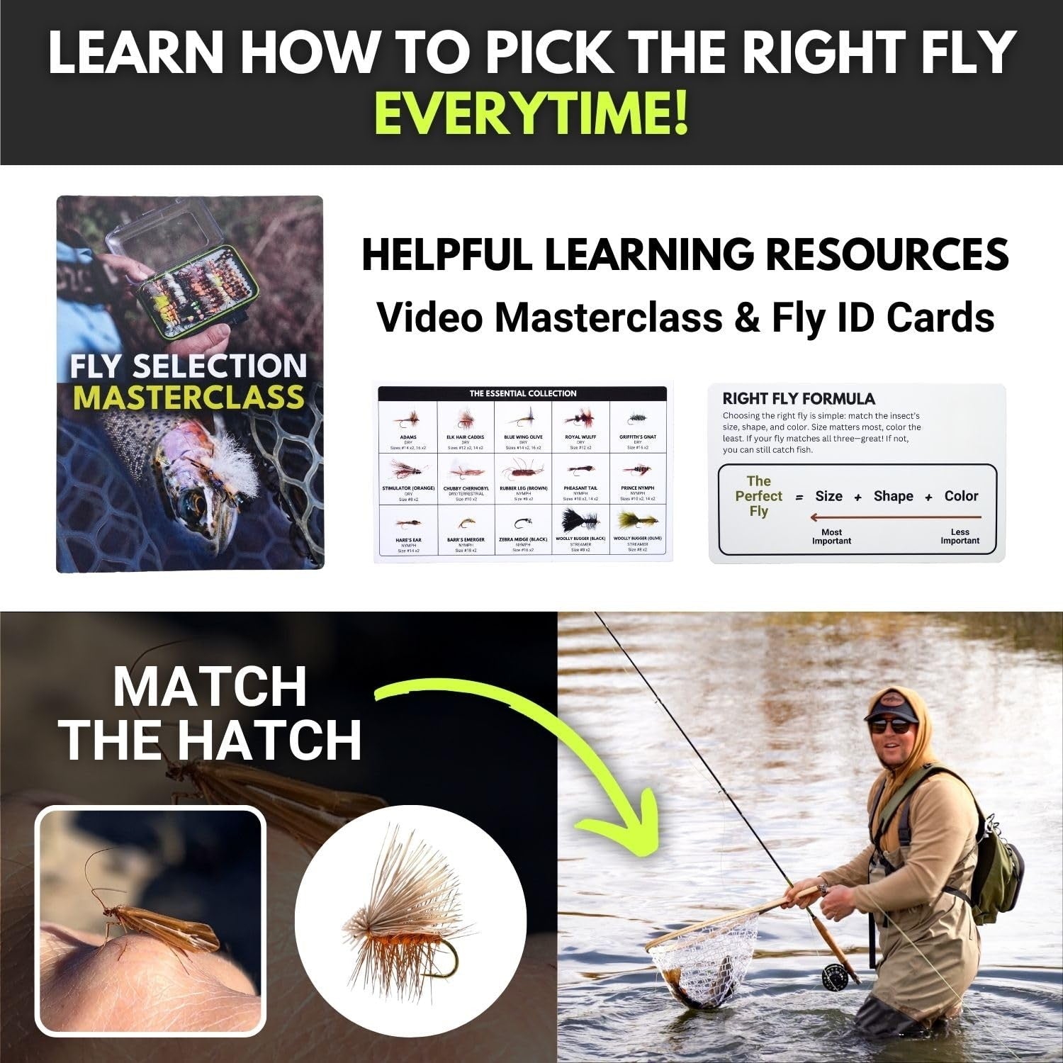 Ventures Fly Co. 40 Premium Hand Tied Fly Fishing Flies Assortment Fly Included