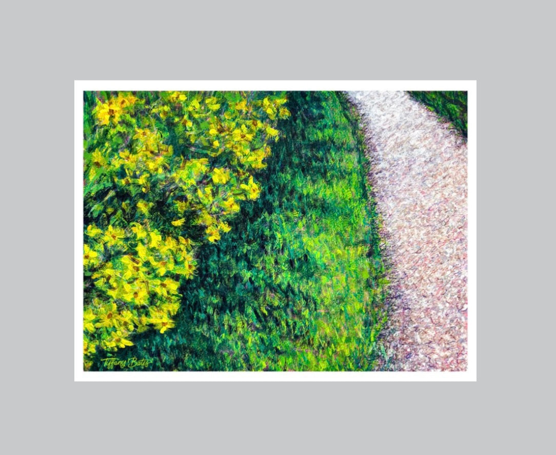 Wildflower Wanders - Fine Art Print - Multiple Sizes