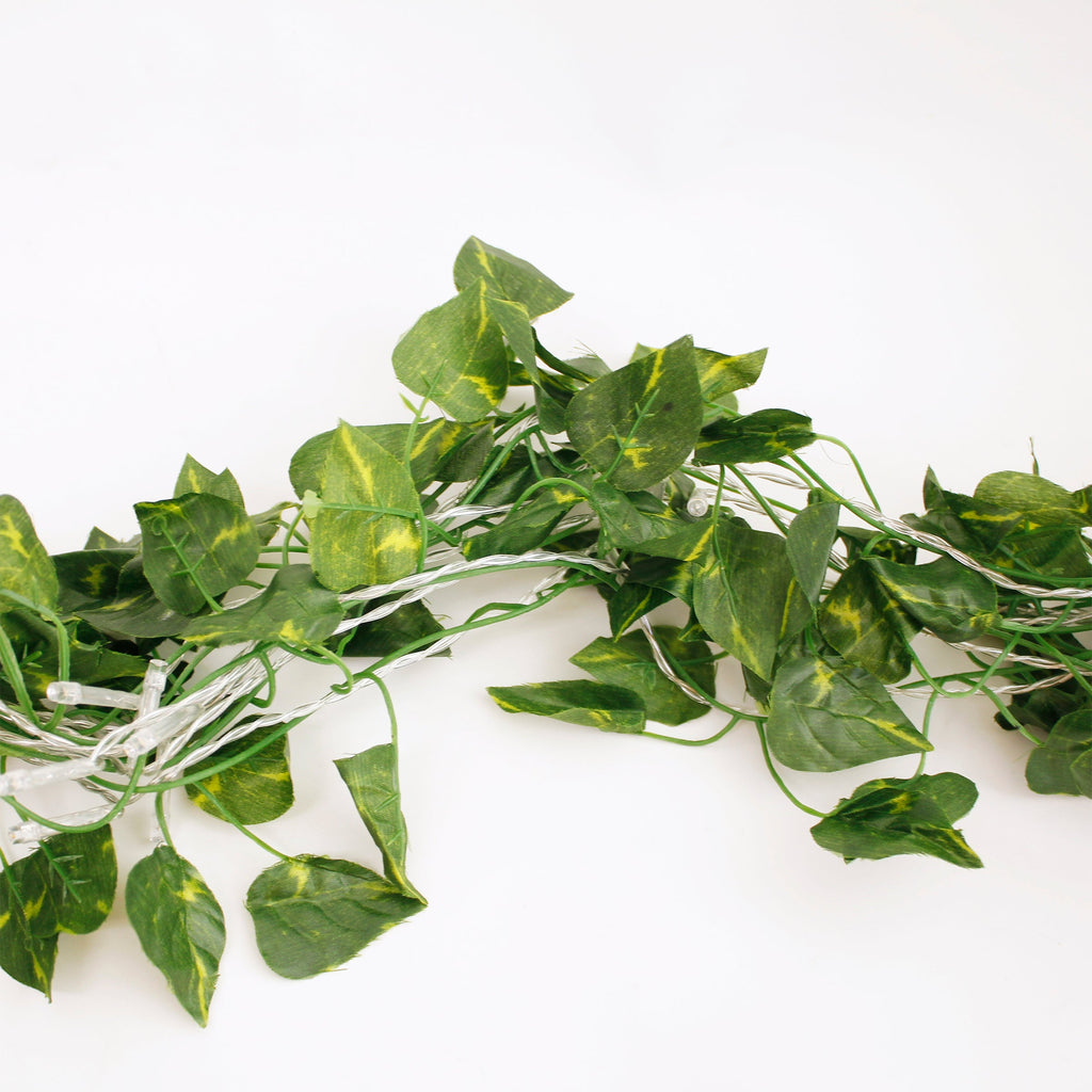 66LED Ivy Leaf Curtain String Lights 3ft x 5ft Battery Operated Warm White