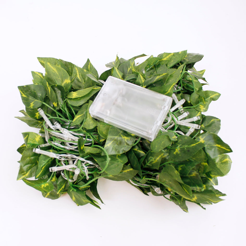 66LED Ivy Leaf Curtain String Lights 3ft x 5ft Battery Operated Warm White