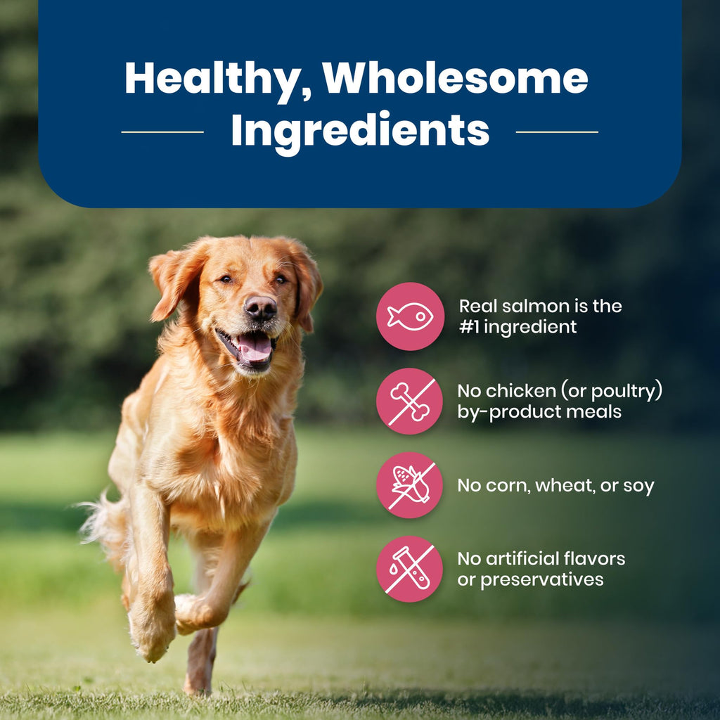Blue Buffalo Life Protection Formula Adult Dry Dog Food, Helps Build and Maintain Strong Muscles, Made with Natural Ingredients, Beef & Brown Rice Recipe, 30-lb Bag
