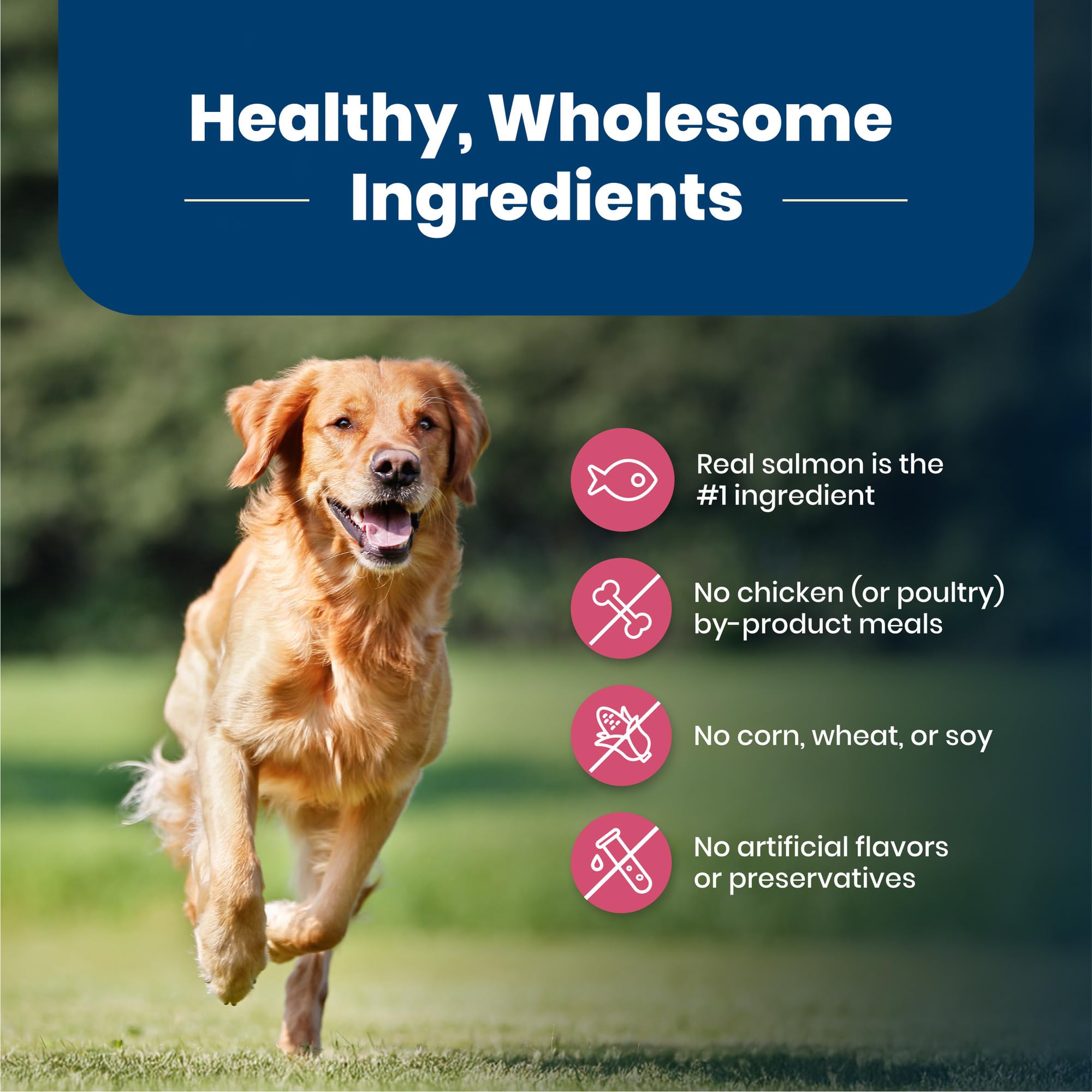 Blue Buffalo Life Protection Formula Adult Dry Dog Food, Helps Build and Maintain Strong Muscles, Made with Natural Ingredients, Beef & Brown Rice Recipe, 30-lb Bag