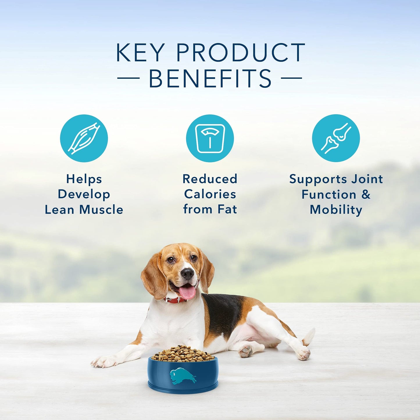 Blue Buffalo Life Protection Formula Healthy Weight Adult Dry Dog Food, Supports an Ideal Weight, Made with Natural Ingredients, Chicken & Brown Rice Recipe, 5-lb Bag