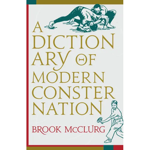 A Dictionary of Modern Consternation - Paperback