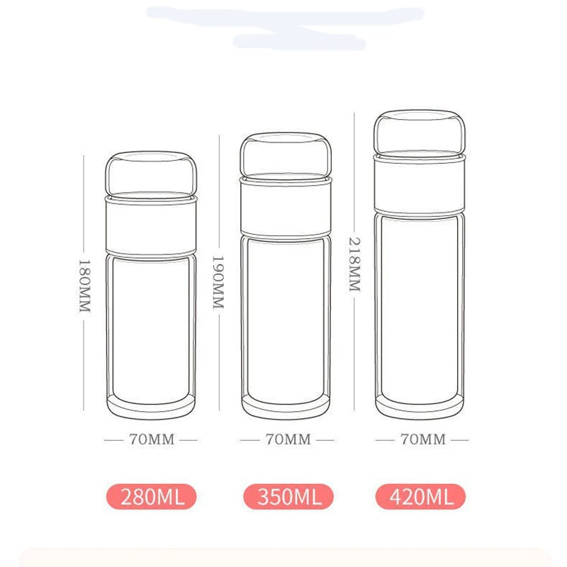 Double Wall Glass Tea Infuser Bottle