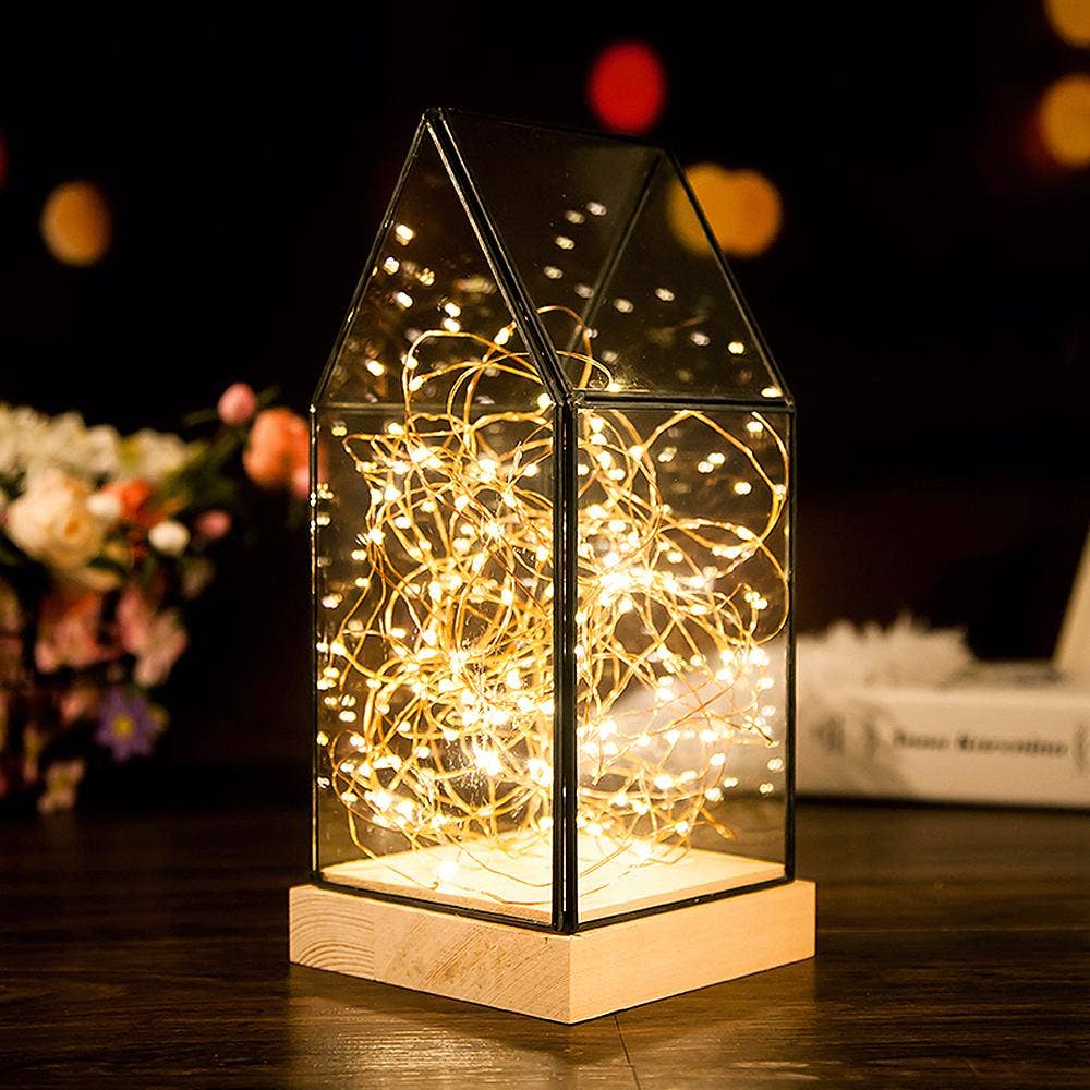 100 LED Copper Fairy Light Plug in OEM - Warm White