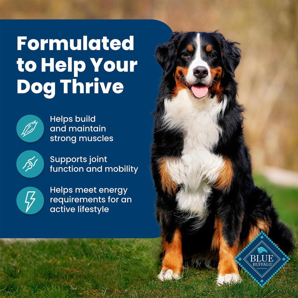 Blue Buffalo Life Protection Formula Adult Dry Dog Food, Helps Build and Maintain Strong Muscles, Made with Natural Ingredients, Beef & Brown Rice Recipe, 30-lb Bag