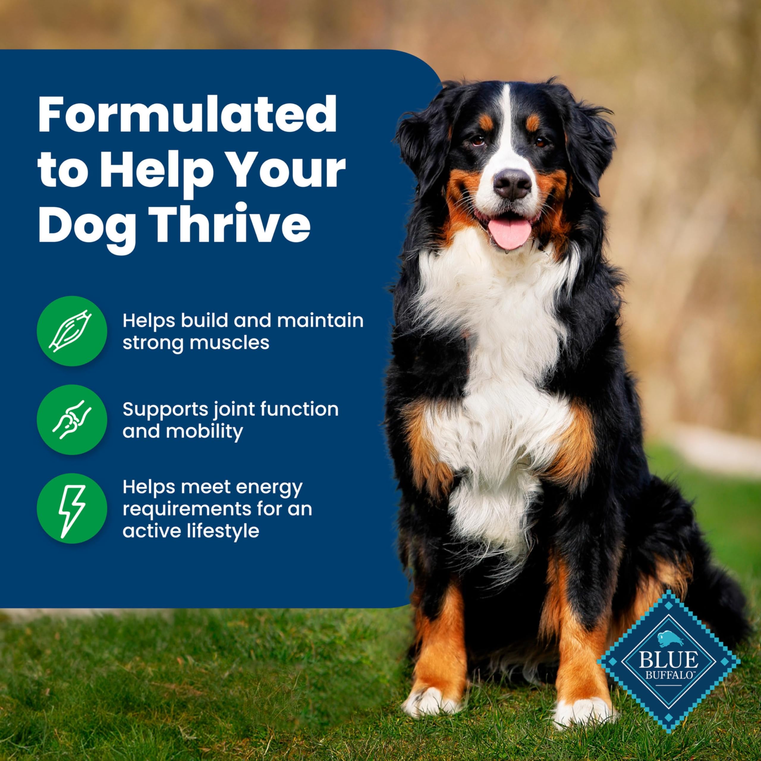Blue Buffalo Life Protection Formula Adult Dry Dog Food, Helps Build and Maintain Strong Muscles, Made with Natural Ingredients, Beef & Brown Rice Recipe, 30-lb Bag