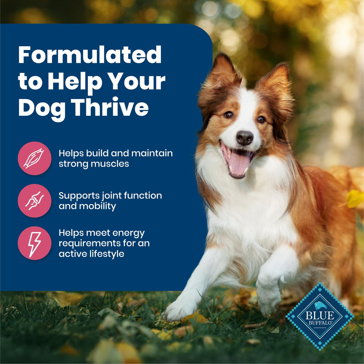 Blue Buffalo Life Protection Formula Adult Dry Dog Food, Helps Build and Maintain Strong Muscles, Made with Natural Ingredients, Beef & Brown Rice Recipe, 30-lb Bag