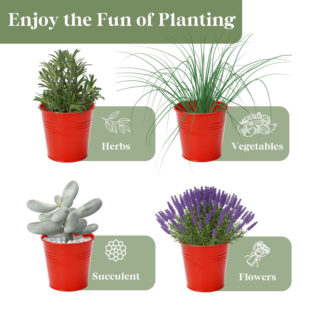 PERFNIQUE Indoor Herb Garden, Herb Planter for Indoor/Outdoor, Farmhouse Plant Pots, Windowsill Herb Garden with Tray(Planter only) Window Pots