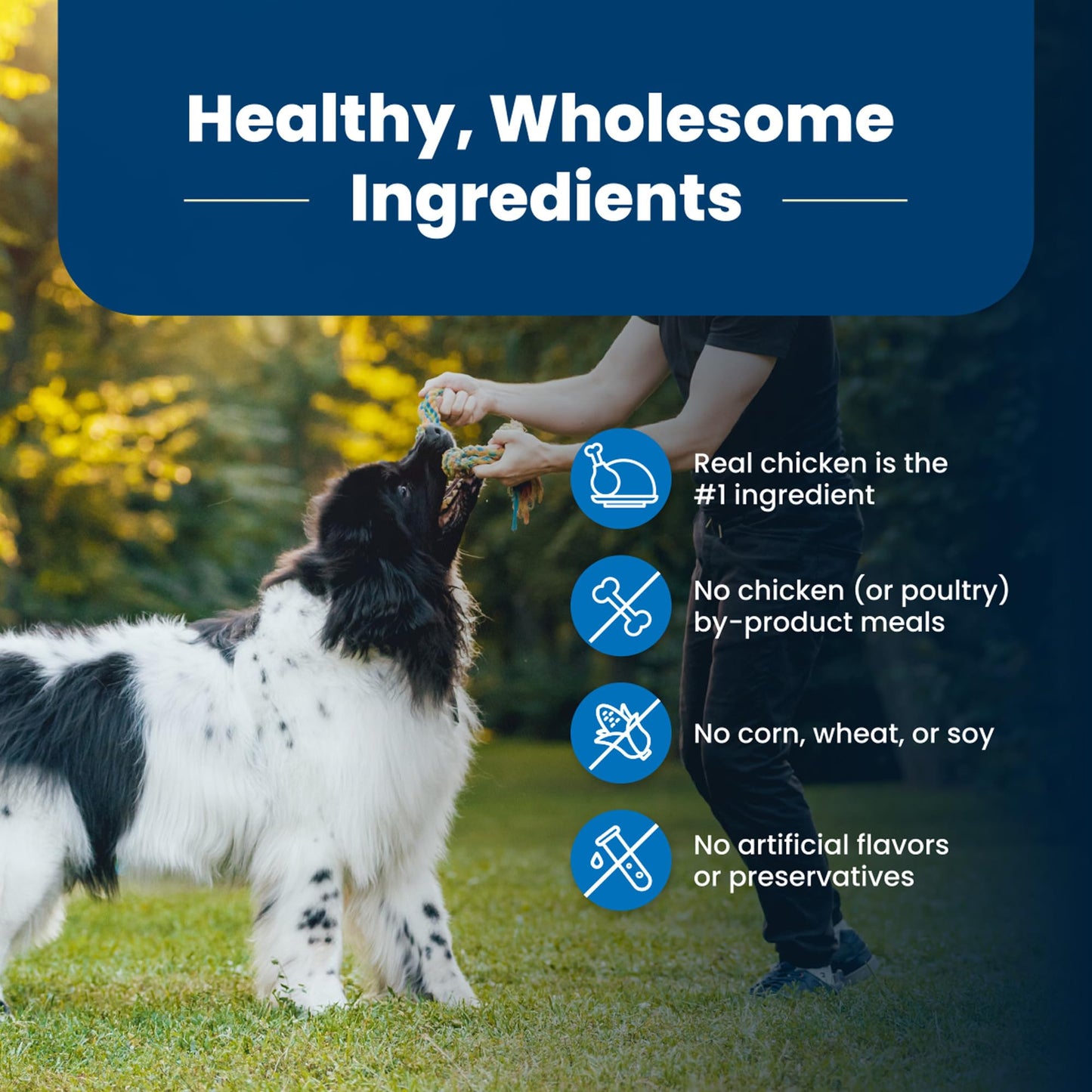 Blue Buffalo Life Protection Formula Adult Dry Dog Food, Helps Build and Maintain Strong Muscles, Made with Natural Ingredients, Beef & Brown Rice Recipe, 30-lb Bag