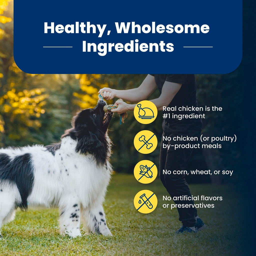 Blue Buffalo Life Protection Formula Healthy Weight Adult Dry Dog Food, Supports an Ideal Weight, Made with Natural Ingredients, Chicken & Brown Rice Recipe, 5-lb Bag