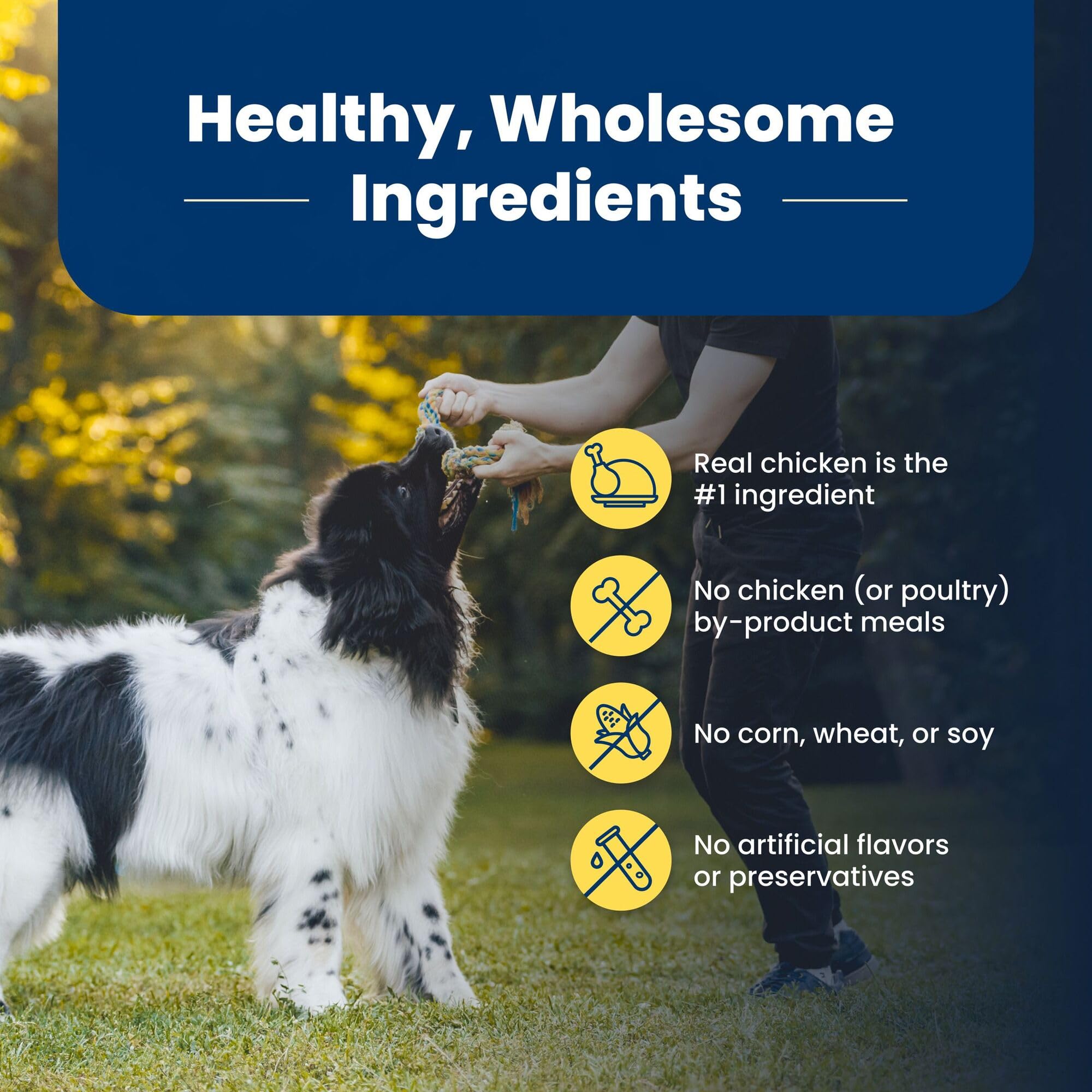 Blue Buffalo Life Protection Formula Healthy Weight Adult Dry Dog Food, Supports an Ideal Weight, Made with Natural Ingredients, Chicken & Brown Rice Recipe, 5-lb Bag