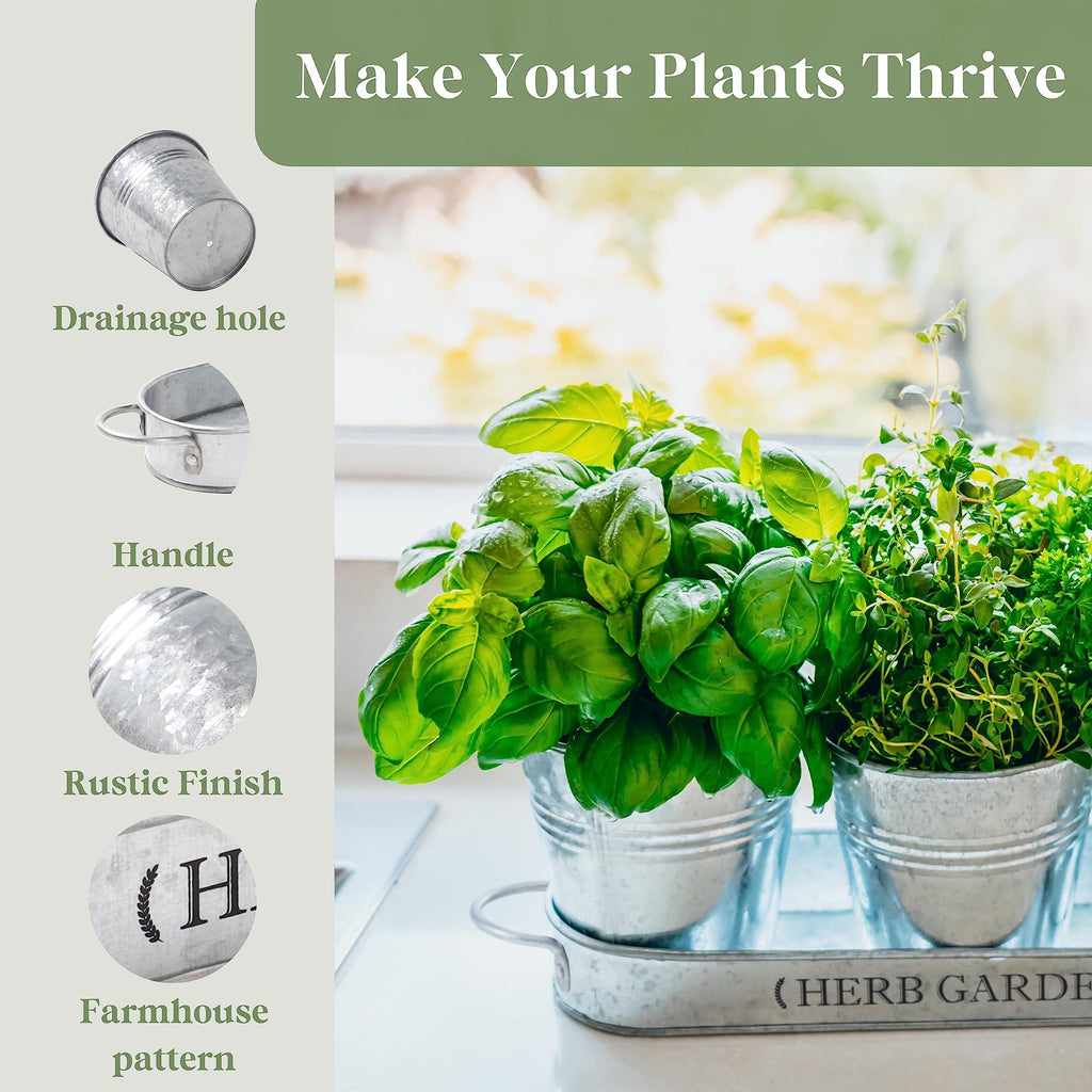 PERFNIQUE Indoor Herb Garden, Herb Planter for Indoor/Outdoor, Farmhouse Plant Pots, Windowsill Herb Garden with Tray(Planter only) Window Pots