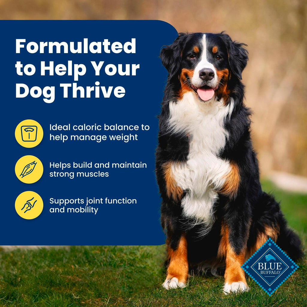 Blue Buffalo Life Protection Formula Healthy Weight Adult Dry Dog Food, Supports an Ideal Weight, Made with Natural Ingredients, Chicken & Brown Rice Recipe, 5-lb Bag