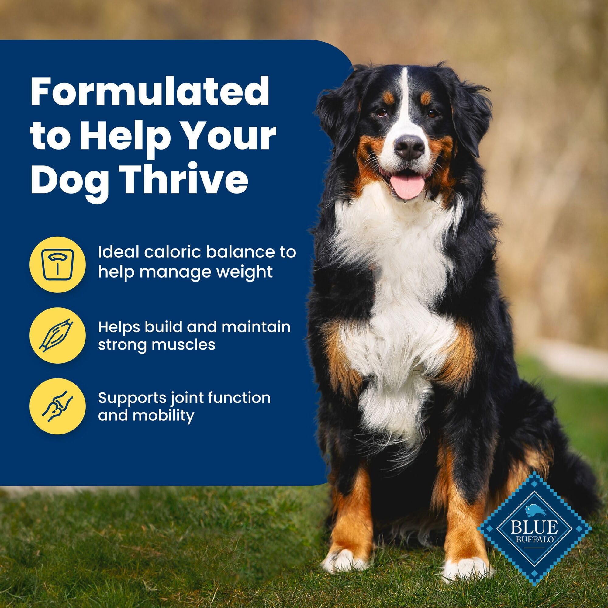 Blue Buffalo Life Protection Formula Healthy Weight Adult Dry Dog Food, Supports an Ideal Weight, Made with Natural Ingredients, Chicken & Brown Rice Recipe, 5-lb Bag