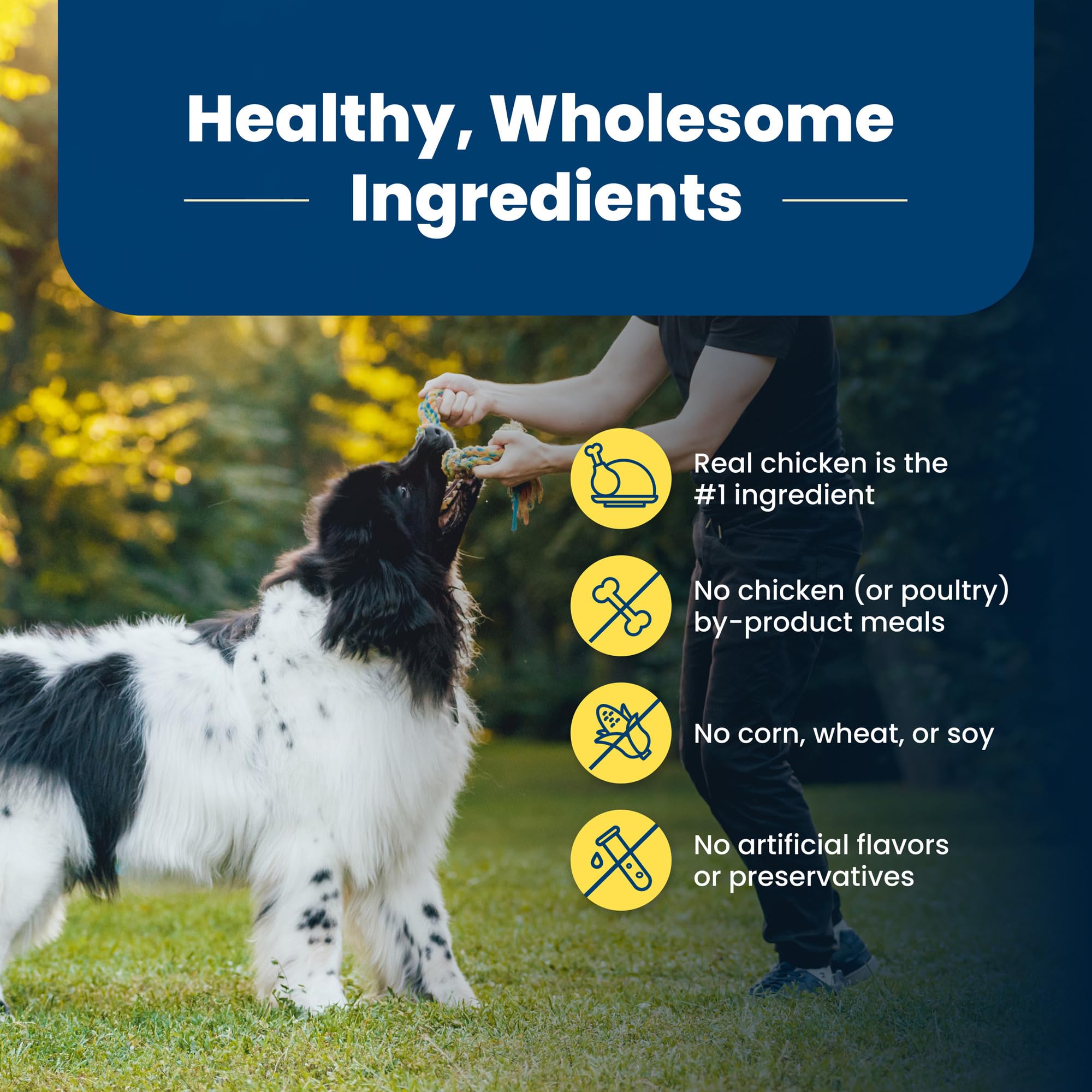 Blue Buffalo Life Protection Formula Healthy Weight Adult Dry Dog Food, Supports an Ideal Weight, Made with Natural Ingredients, Chicken & Brown Rice Recipe, 5-lb Bag