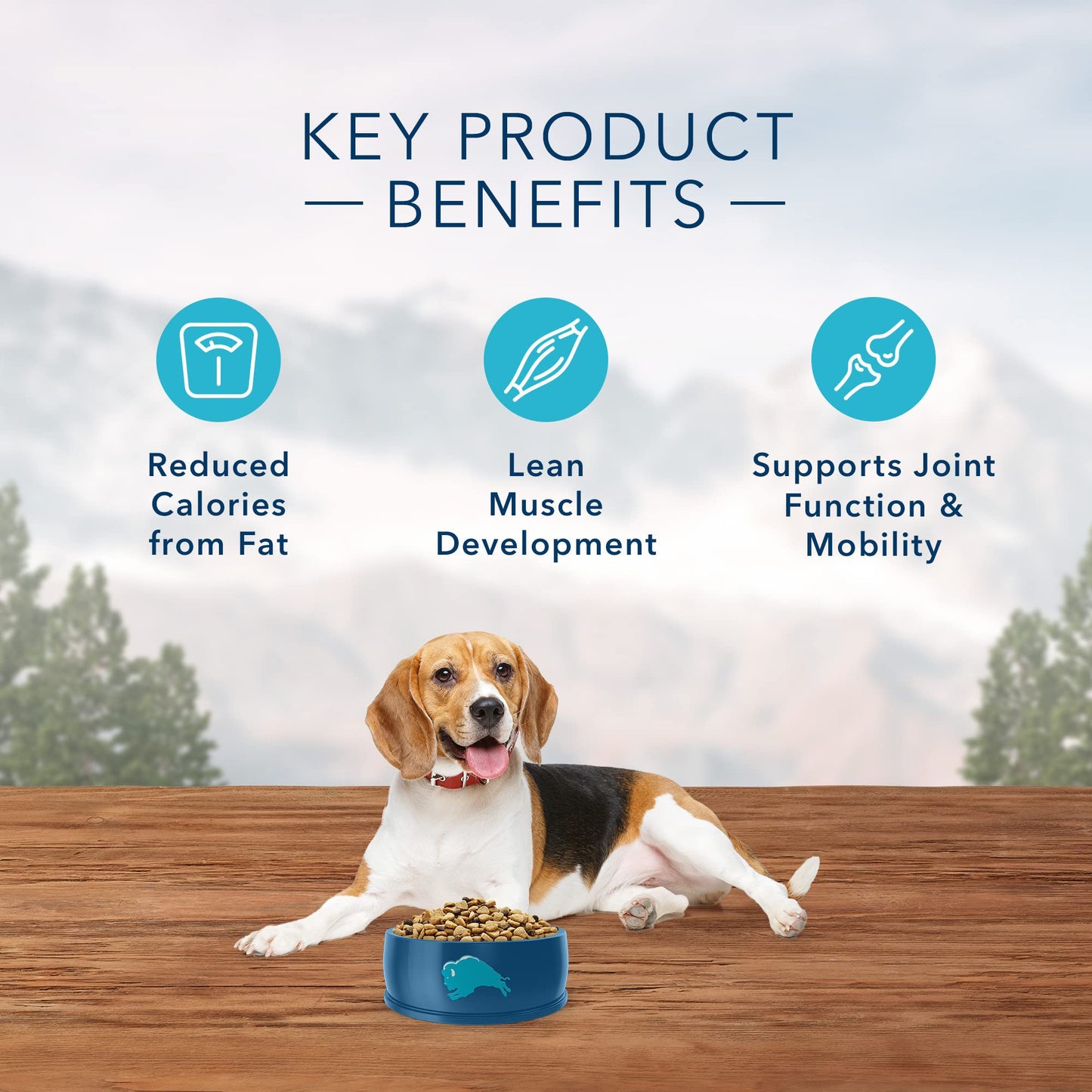 Blue Buffalo Life Protection Formula Healthy Weight Adult Dry Dog Food, Supports an Ideal Weight, Made with Natural Ingredients, Chicken & Brown Rice Recipe, 5-lb Bag