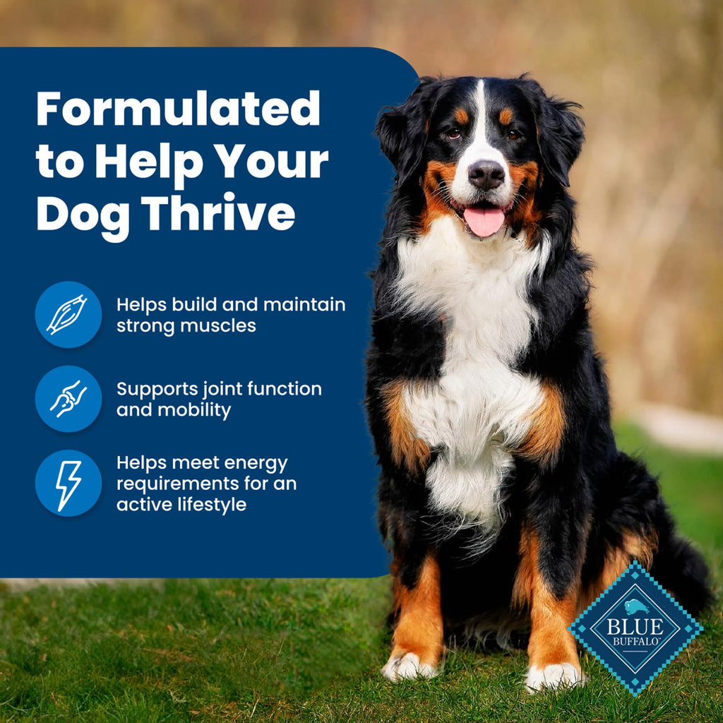 Blue Buffalo Life Protection Formula Adult Dry Dog Food, Helps Build and Maintain Strong Muscles, Made with Natural Ingredients, Beef & Brown Rice Recipe, 30-lb Bag