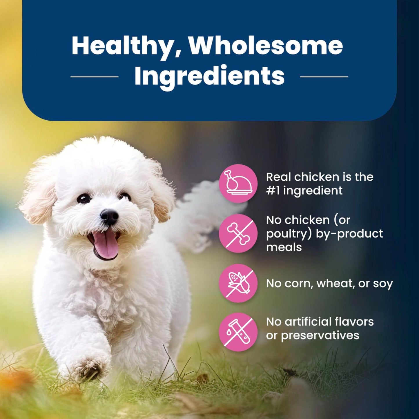 Blue Buffalo Life Protection Formula Healthy Weight Adult Dry Dog Food, Supports an Ideal Weight, Made with Natural Ingredients, Chicken & Brown Rice Recipe, 5-lb Bag