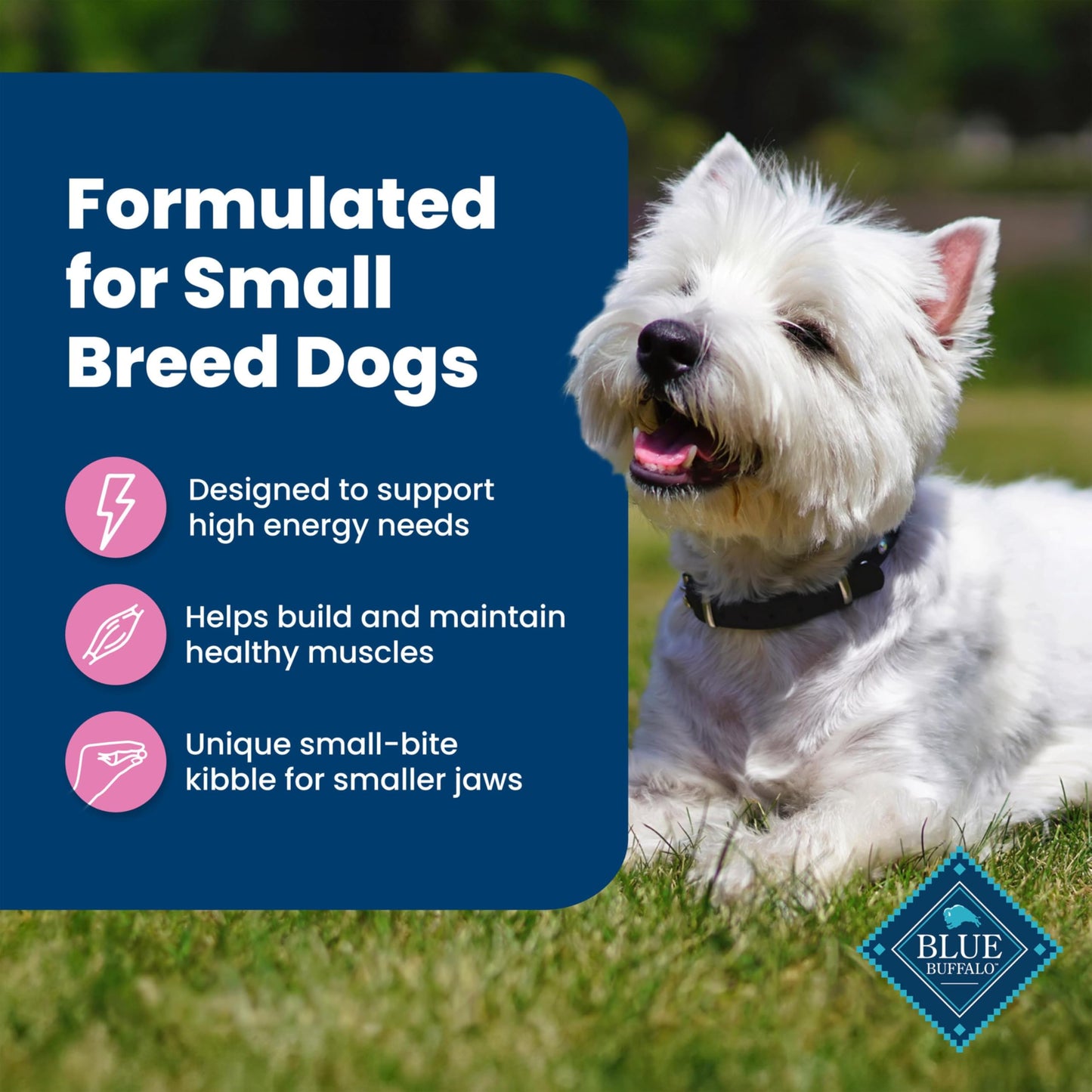 Blue Buffalo Life Protection Formula Healthy Weight Adult Dry Dog Food, Supports an Ideal Weight, Made with Natural Ingredients, Chicken & Brown Rice Recipe, 5-lb Bag