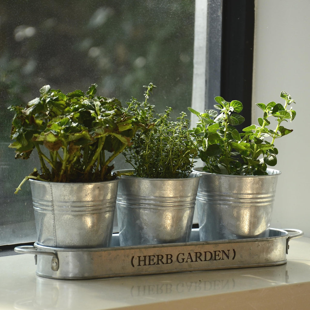 PERFNIQUE Indoor Herb Garden, Herb Planter for Indoor/Outdoor, Farmhouse Plant Pots, Windowsill Herb Garden with Tray(Planter only) Window Pots
