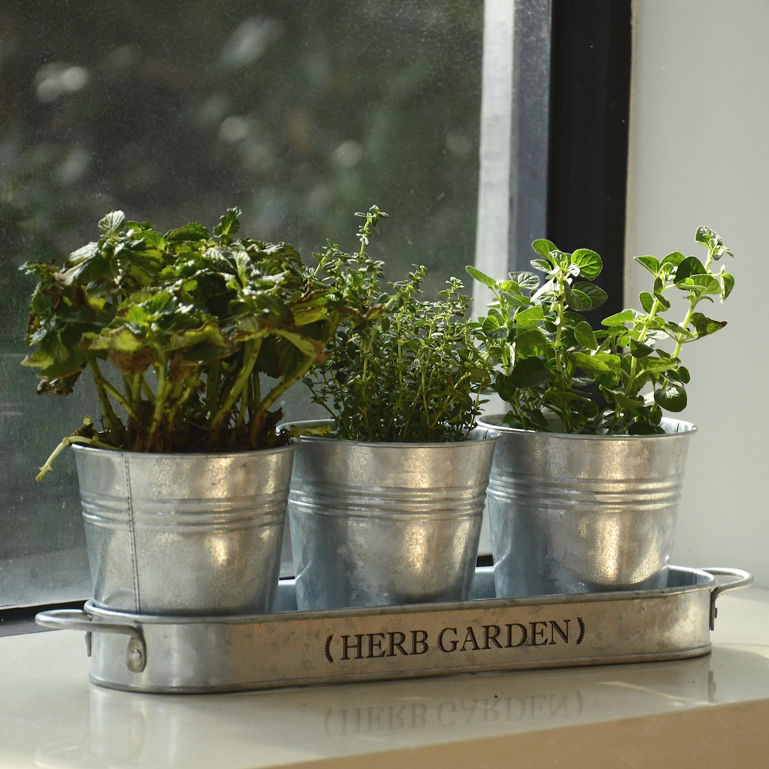 PERFNIQUE Indoor Herb Garden, Herb Planter for Indoor/Outdoor, Farmhouse Plant Pots, Windowsill Herb Garden with Tray(Planter only) Window Pots