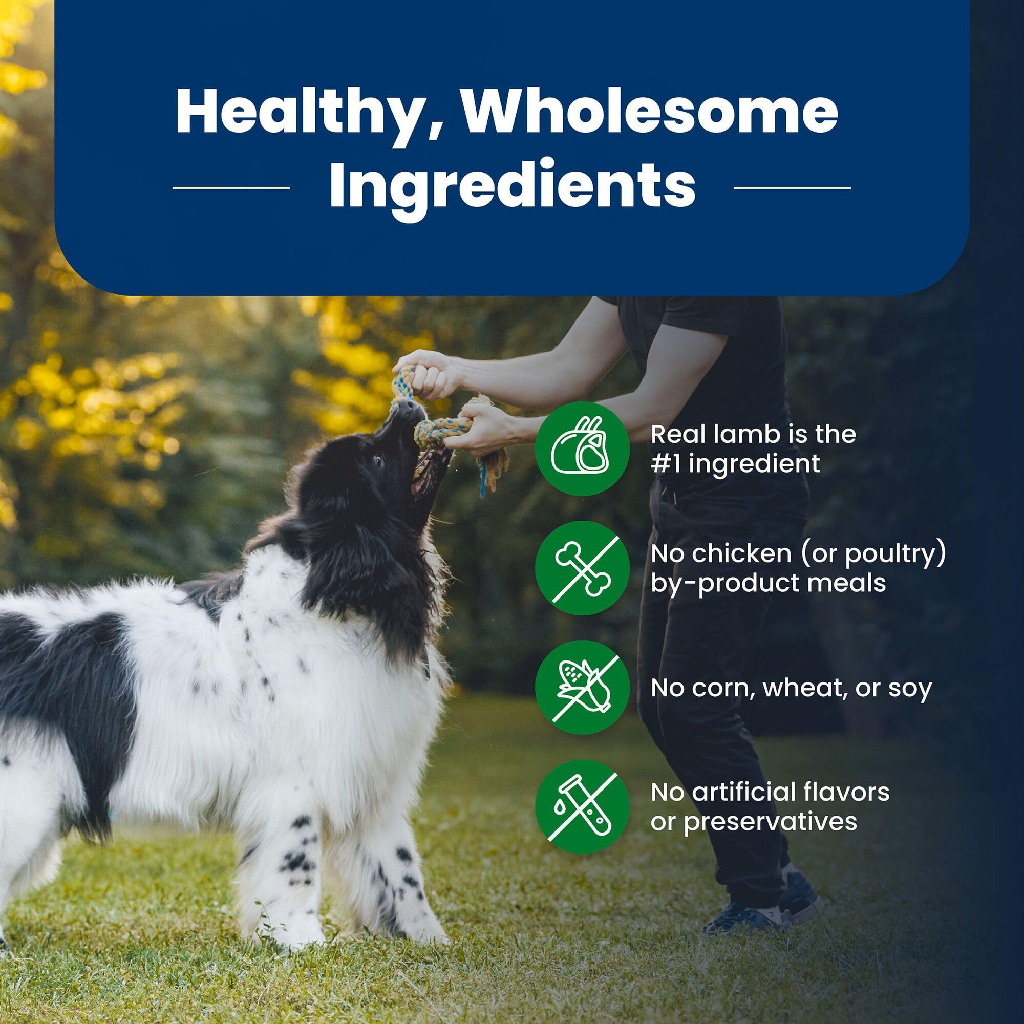 Blue Buffalo Life Protection Formula Adult Dry Dog Food, Helps Build and Maintain Strong Muscles, Made with Natural Ingredients, Beef & Brown Rice Recipe, 30-lb Bag