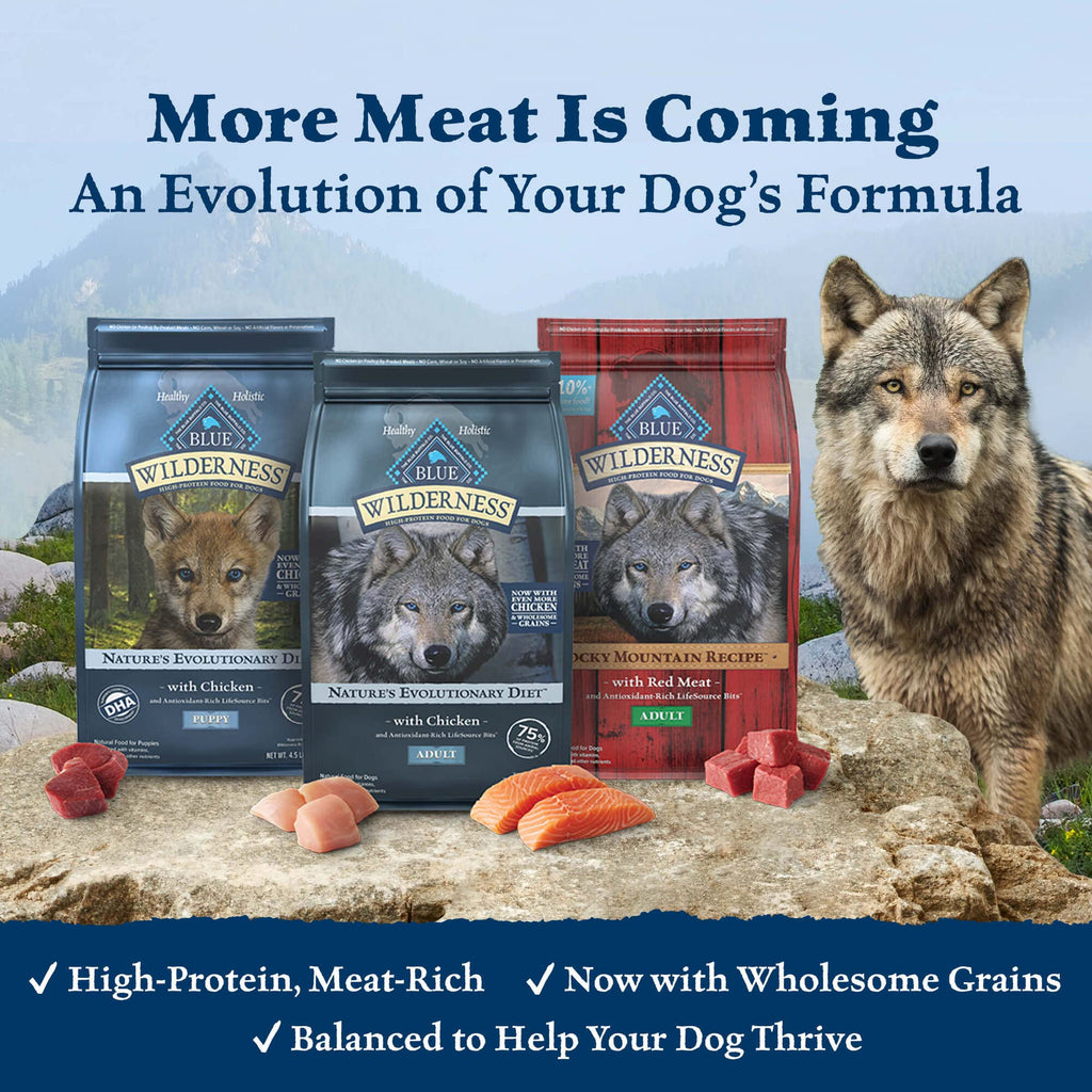 Blue Buffalo Life Protection Formula Healthy Weight Adult Dry Dog Food, Supports an Ideal Weight, Made with Natural Ingredients, Chicken & Brown Rice Recipe, 5-lb Bag