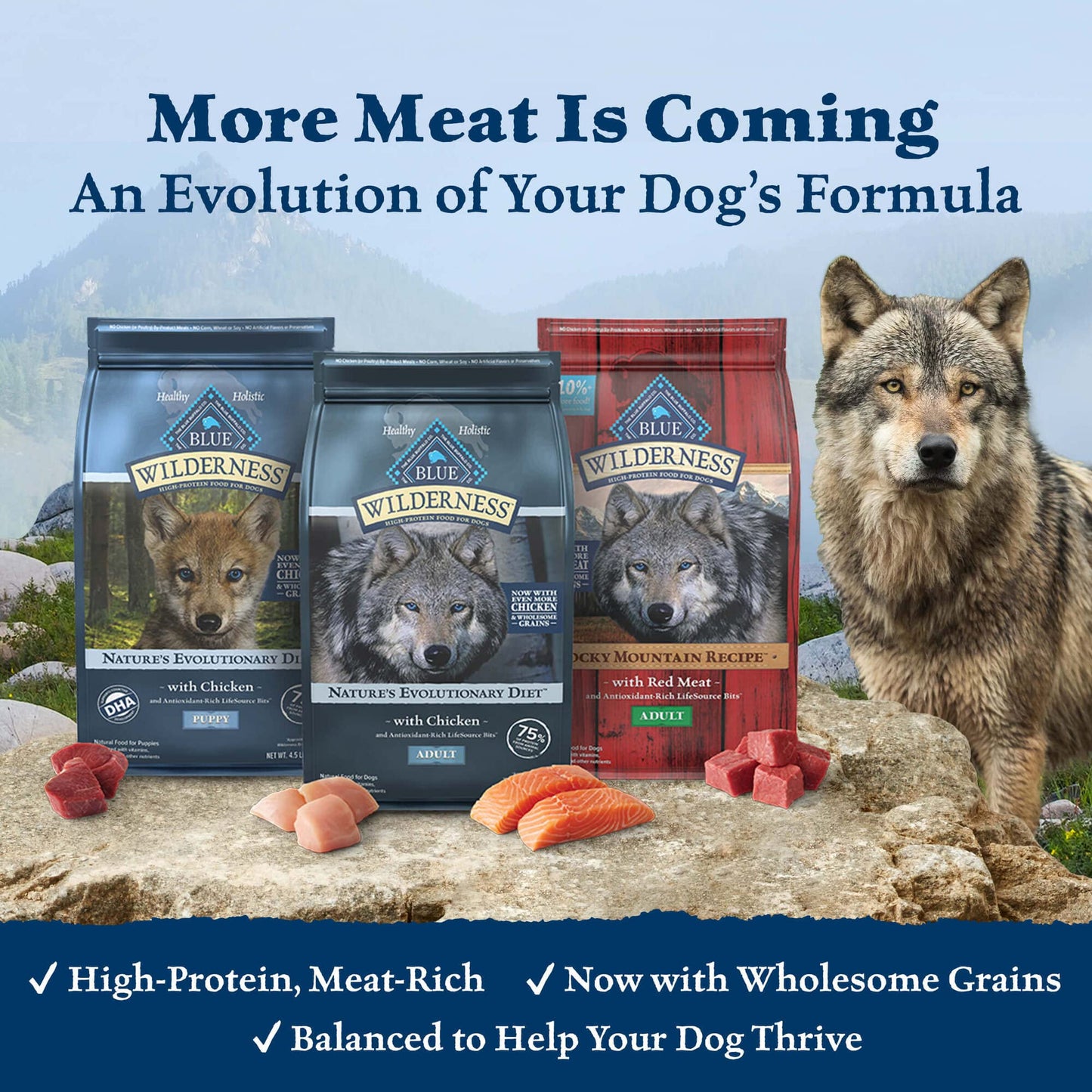 Blue Buffalo Life Protection Formula Healthy Weight Adult Dry Dog Food, Supports an Ideal Weight, Made with Natural Ingredients, Chicken & Brown Rice Recipe, 5-lb Bag