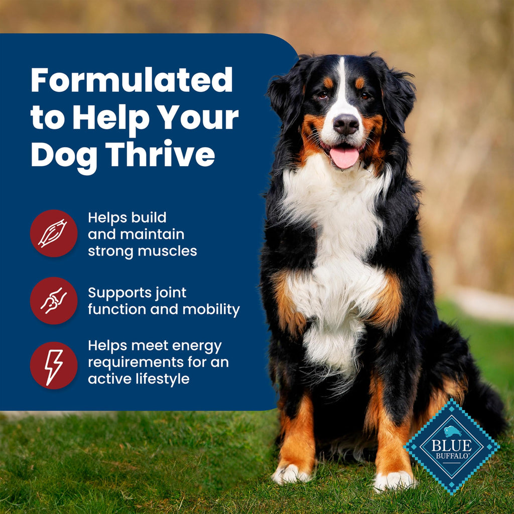 Blue Buffalo Life Protection Formula Adult Dry Dog Food, Helps Build and Maintain Strong Muscles, Made with Natural Ingredients, Beef & Brown Rice Recipe, 30-lb Bag