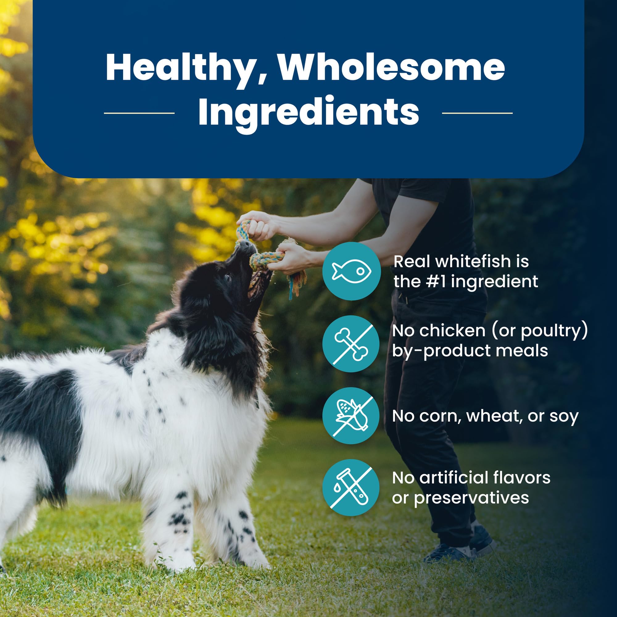 Blue Buffalo Life Protection Formula Adult Dry Dog Food, Helps Build and Maintain Strong Muscles, Made with Natural Ingredients, Beef & Brown Rice Recipe, 30-lb Bag